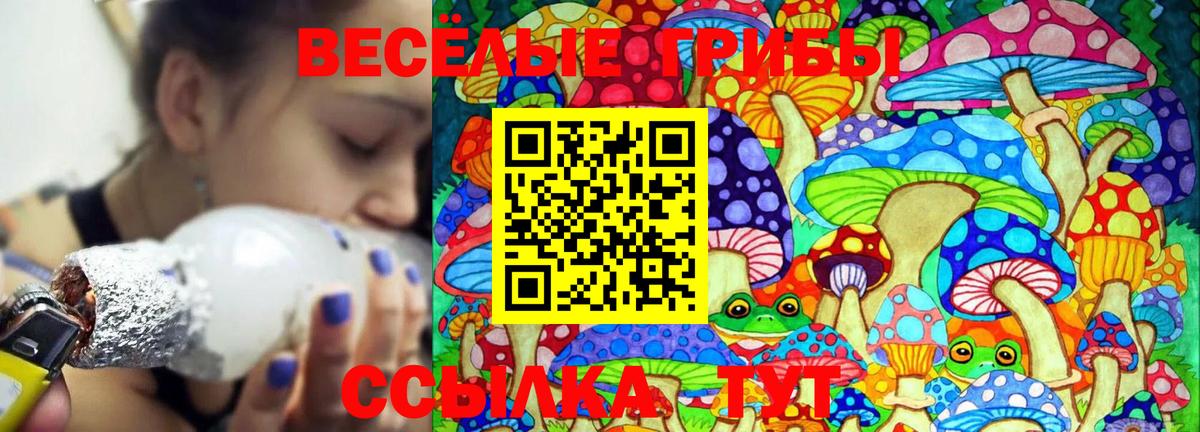 Галлюциногенные грибы GOLDEN TEACHER  Вход с VPN  Кольчугино 
