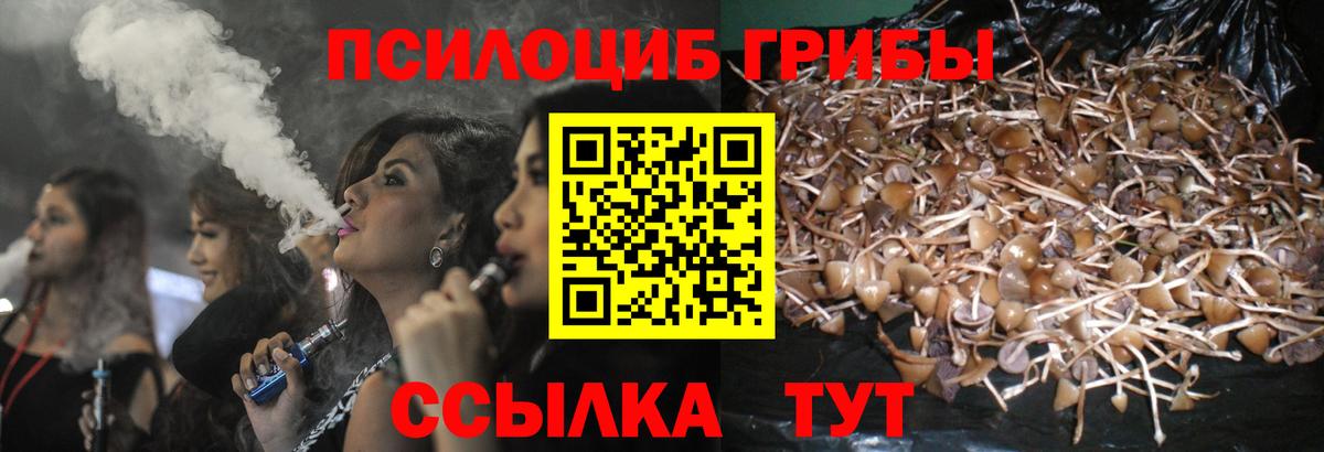 Галлюциногенные грибы ЛСД Кольчугино